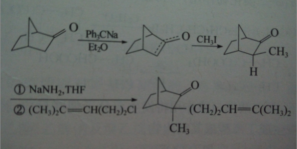 碳原子上的烃基化反应配图2